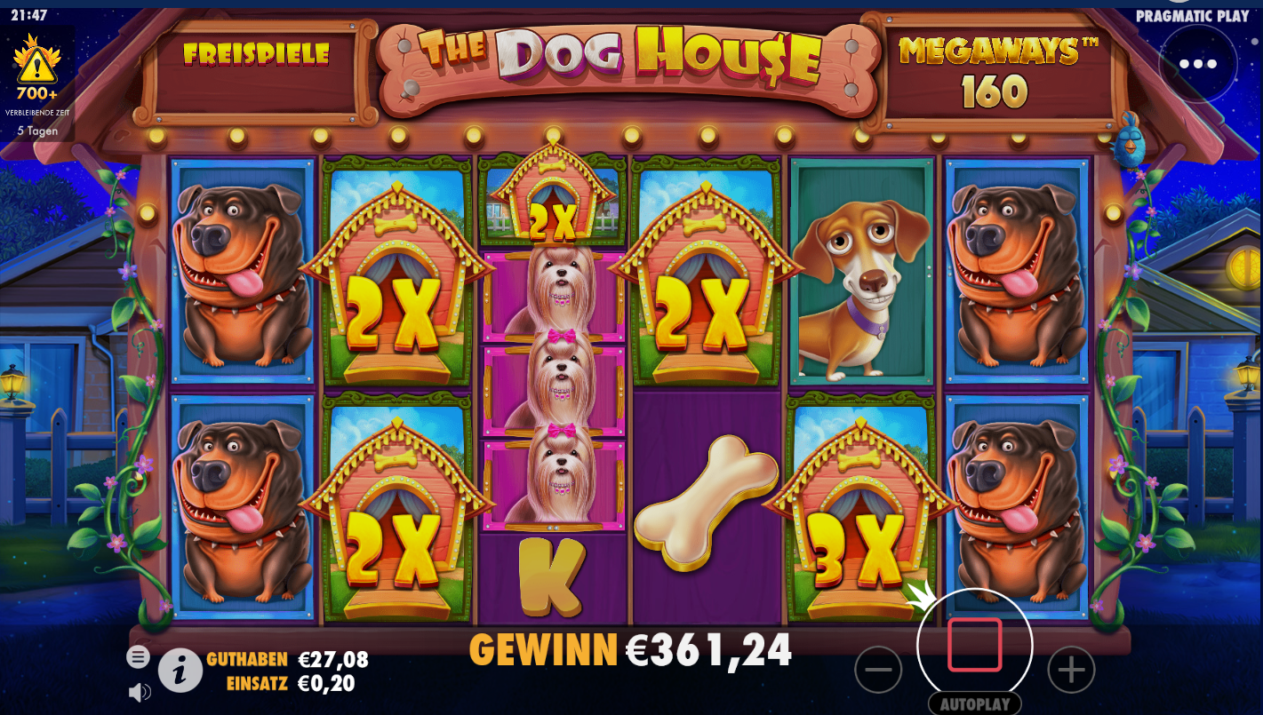 Dog House Megaways Slot Reels