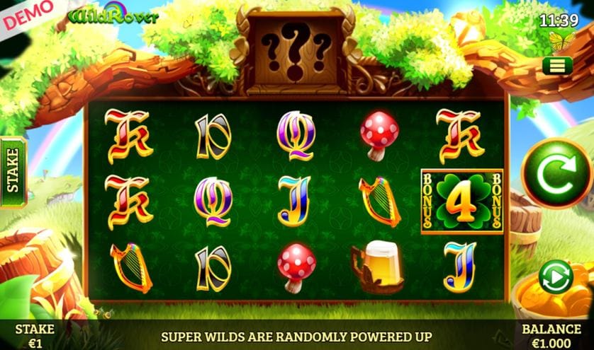 Wild Rover Slots Game