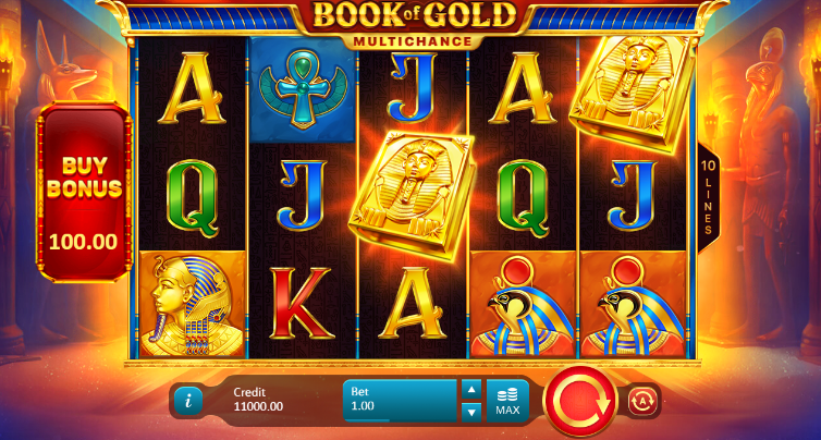 Book of Gold Multichance Slot Gameplay