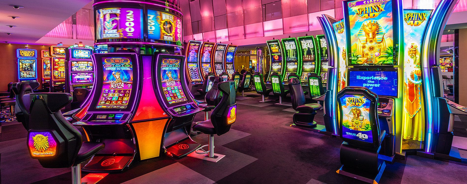 Evolution slot Evolution slot