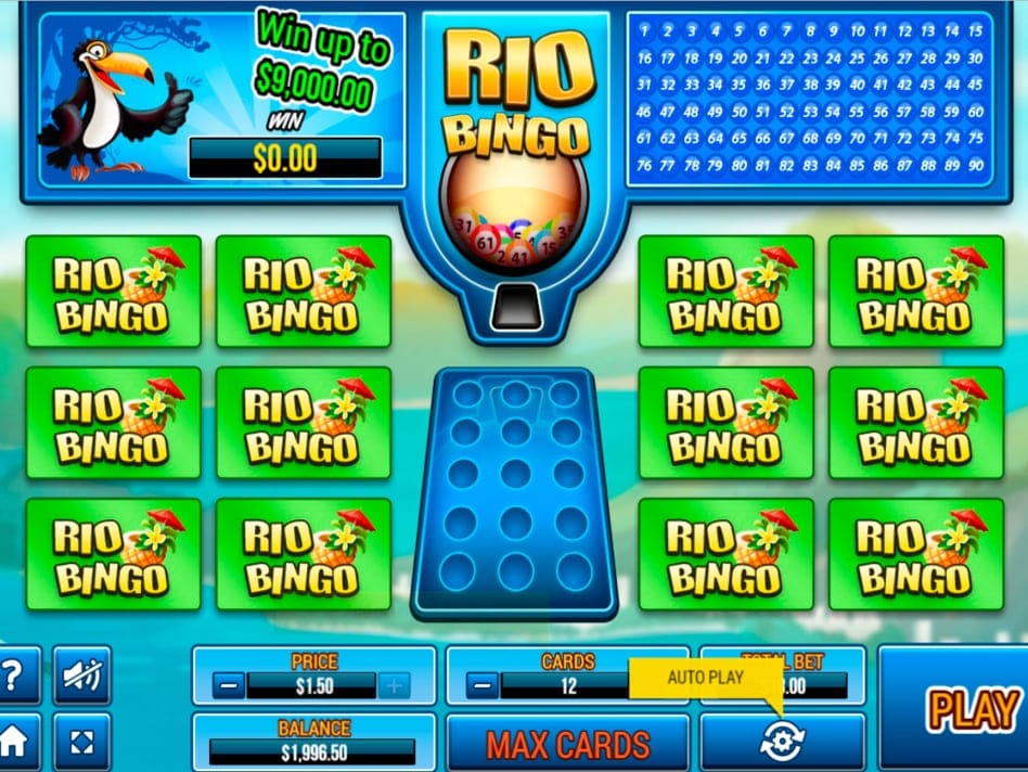 Rio Bingo Slots Online