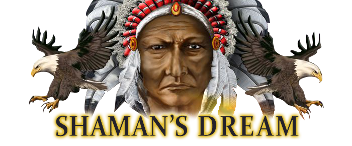 Shaman's Dream logo slot game