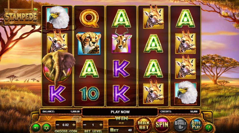 Stampede Slot Gameplay