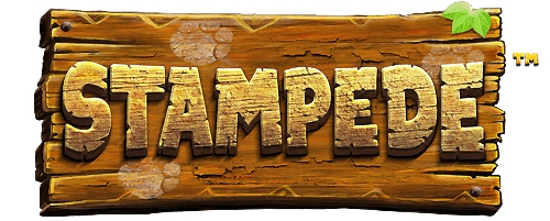 Stampede Slot Logo Slots Racer