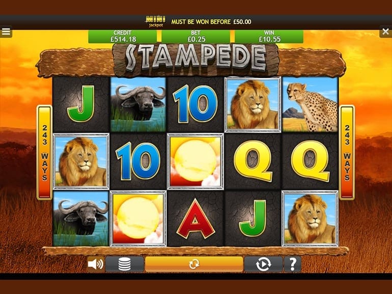 Stampede Jackpot Slots Reels