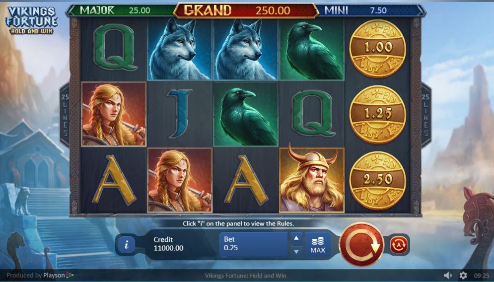 Vikings Fortune Free Slots