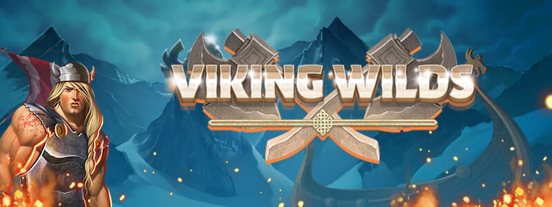 Viking Wilds Slots Racer