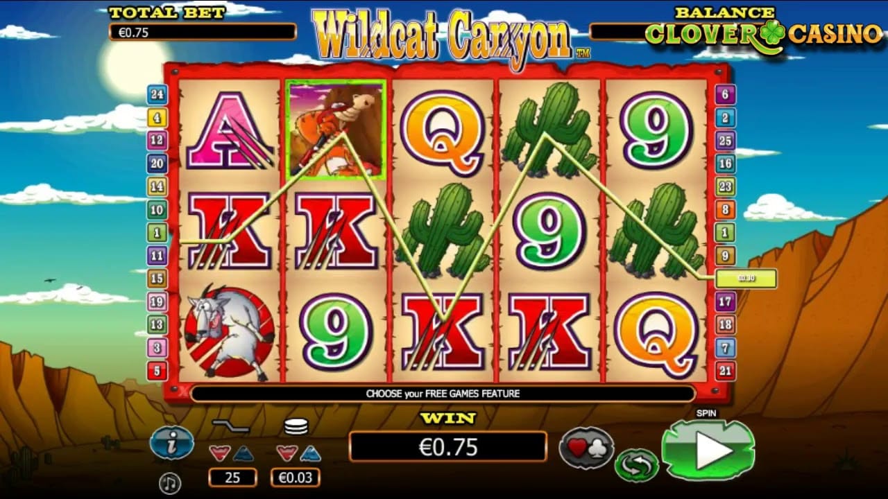 Wildcat Canyon Slot Gameplay