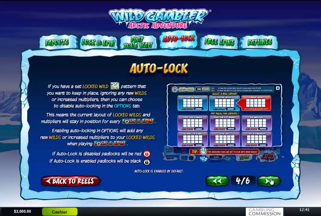 Wild Gambler Arctic Adventure Slot Paytable